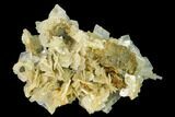Bladed Blue Barite Crystal Cluster with Pyrite- Morocco #160124-1
